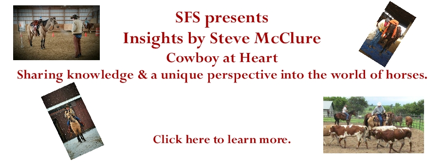 Read Insights by Steve McClure